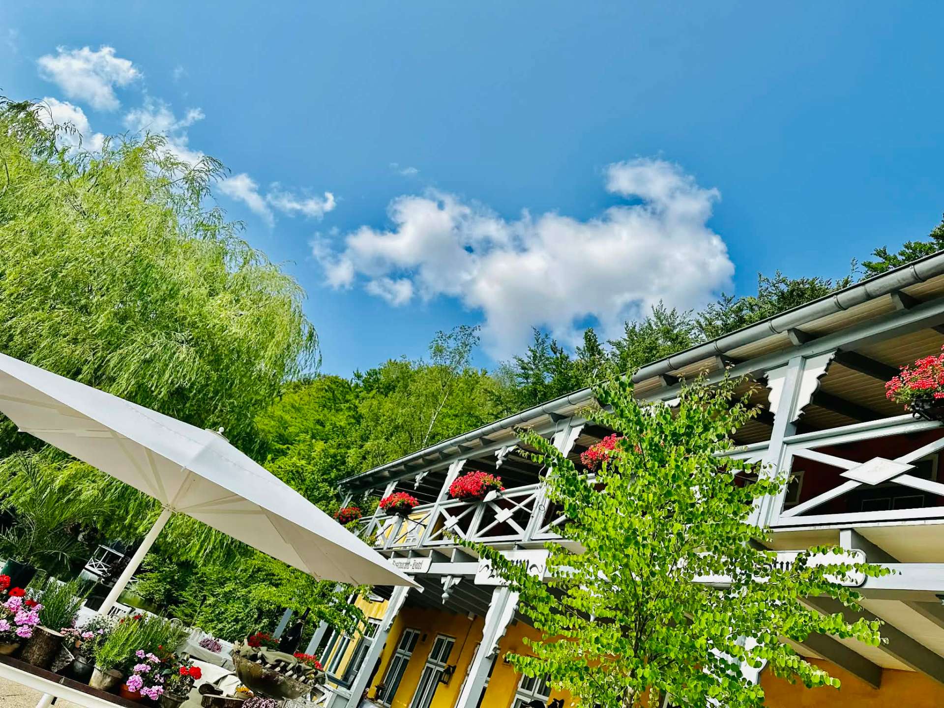 Den gule bygning og terrassen om sommeren